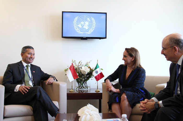 Three people in business attire sit, with UN logo on screen and Singapore and Mexico flags.