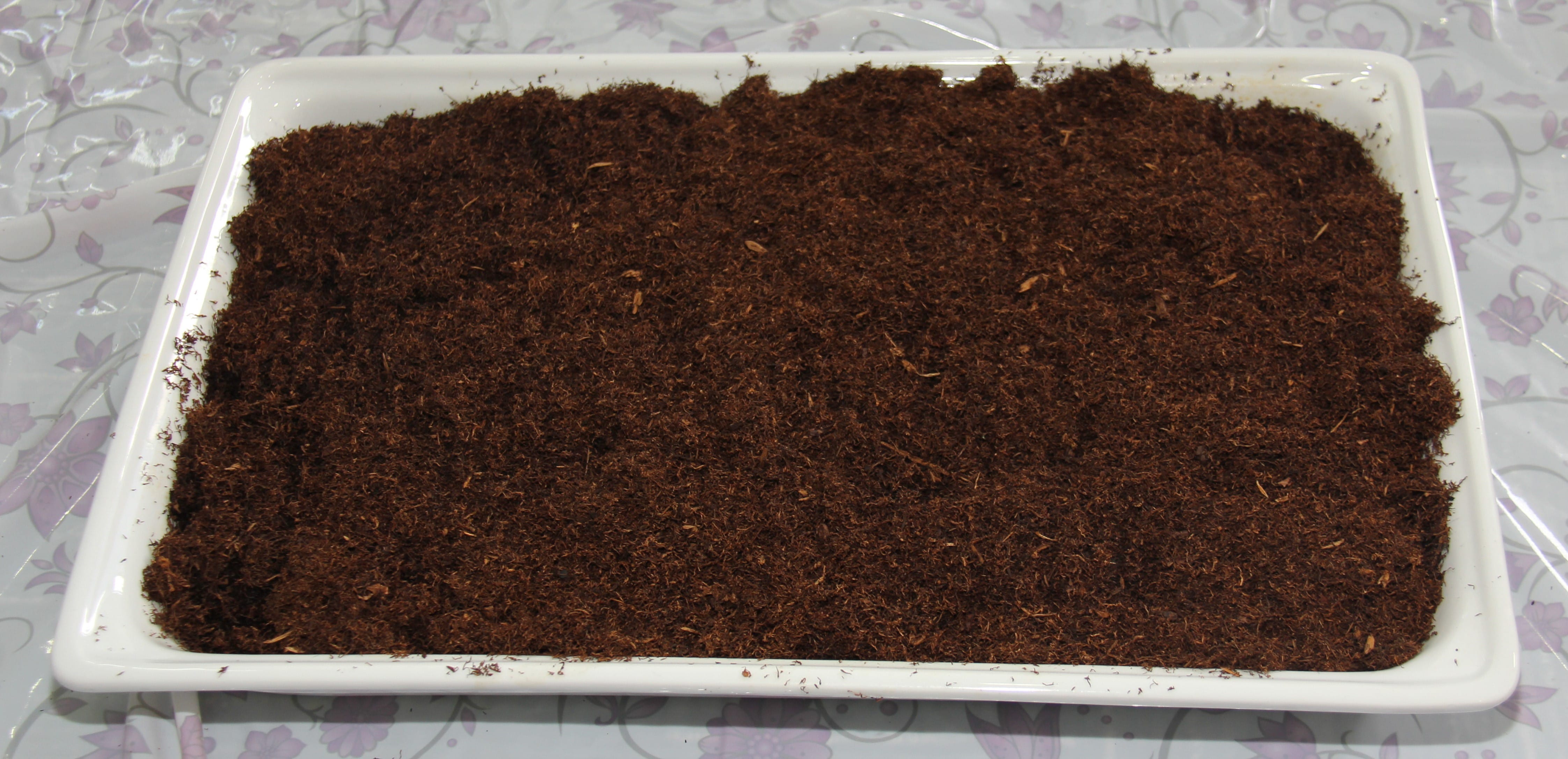 Brown fibrous material, possibly soil or mulch, filling a rectangular white tray.