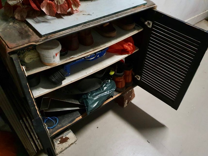Open dark brown shoe cabinet with shelves holding shoes, tools, and a plant on top.