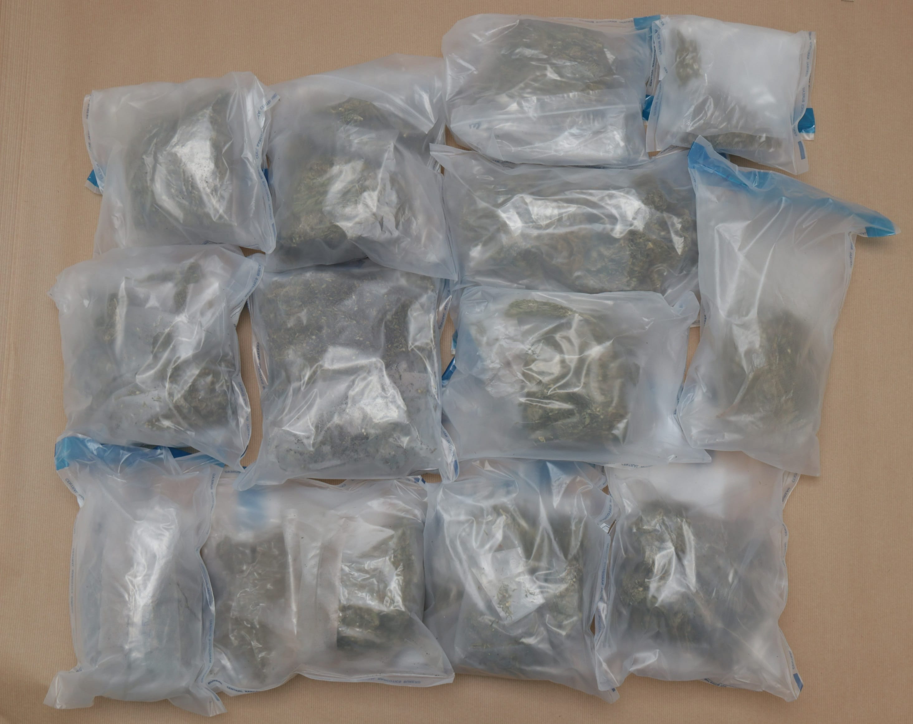 Fourteen clear plastic bags, each containing a greenish substance, are arranged on a tan surface.