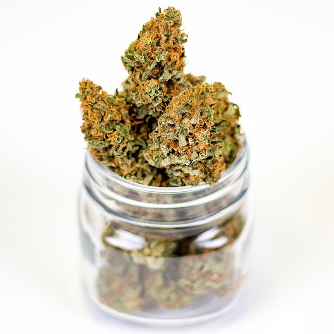 Dried cannabis in a glass jar