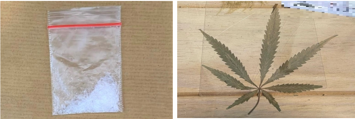 Two images: a plastic bag with white crystalline material and a dried cannabis leaf.