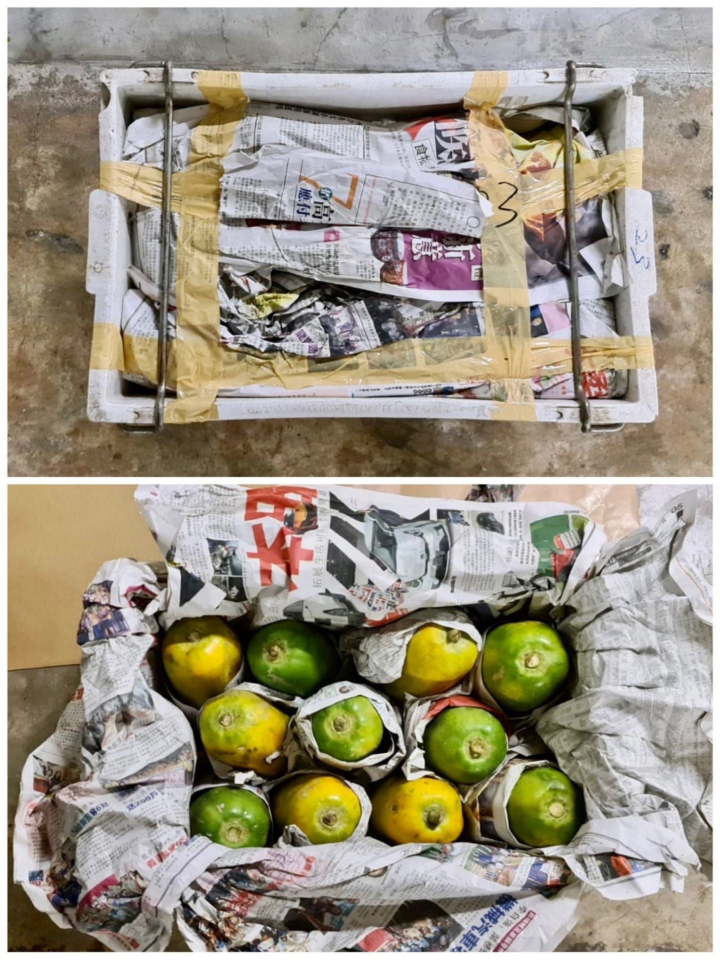 Split-screen: Packed crate with newspaper/tape, then open crate showing green/yellow fruits wrapped in newspaper.