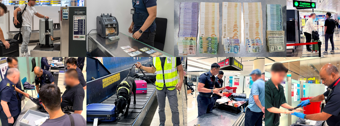 Montage of airport customs: passengers, money counting, currency stacks, luggage inspection, and drug-sniffing dog.