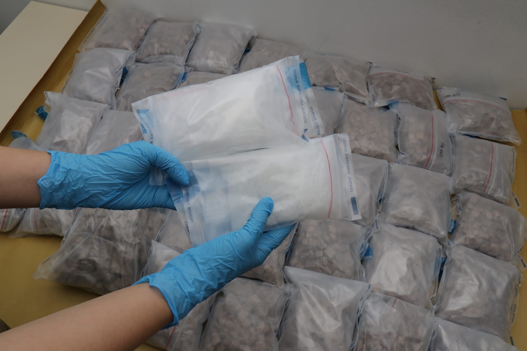 Gloved hands holding two clear bags filled with white powder; other bags, some with brown contents, visible.