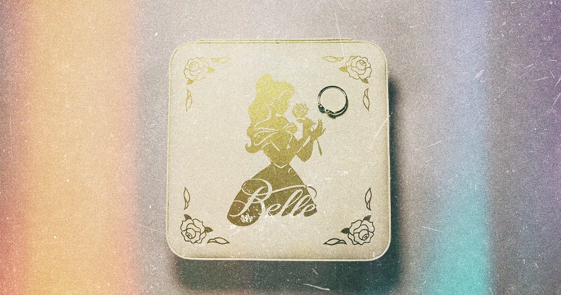 A beauty and the beast themed case