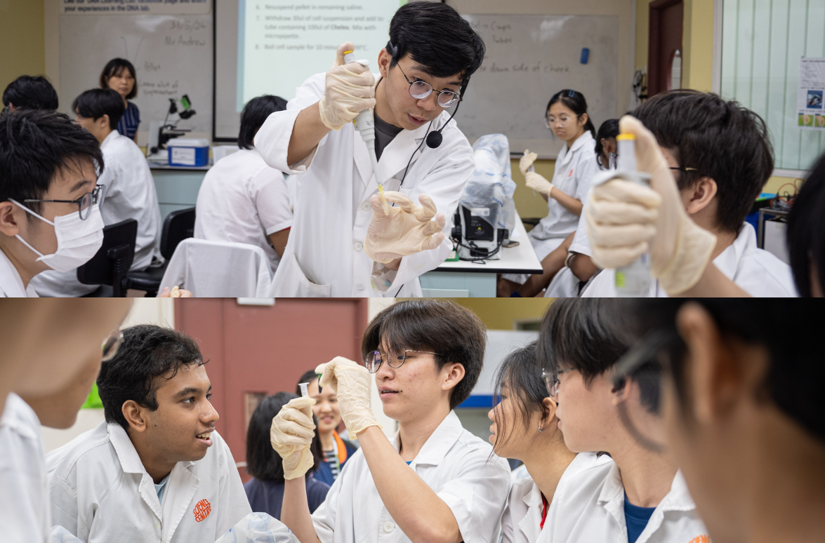 Students in lab coats are conducting experiments and analyzing samples in two classroom settings.