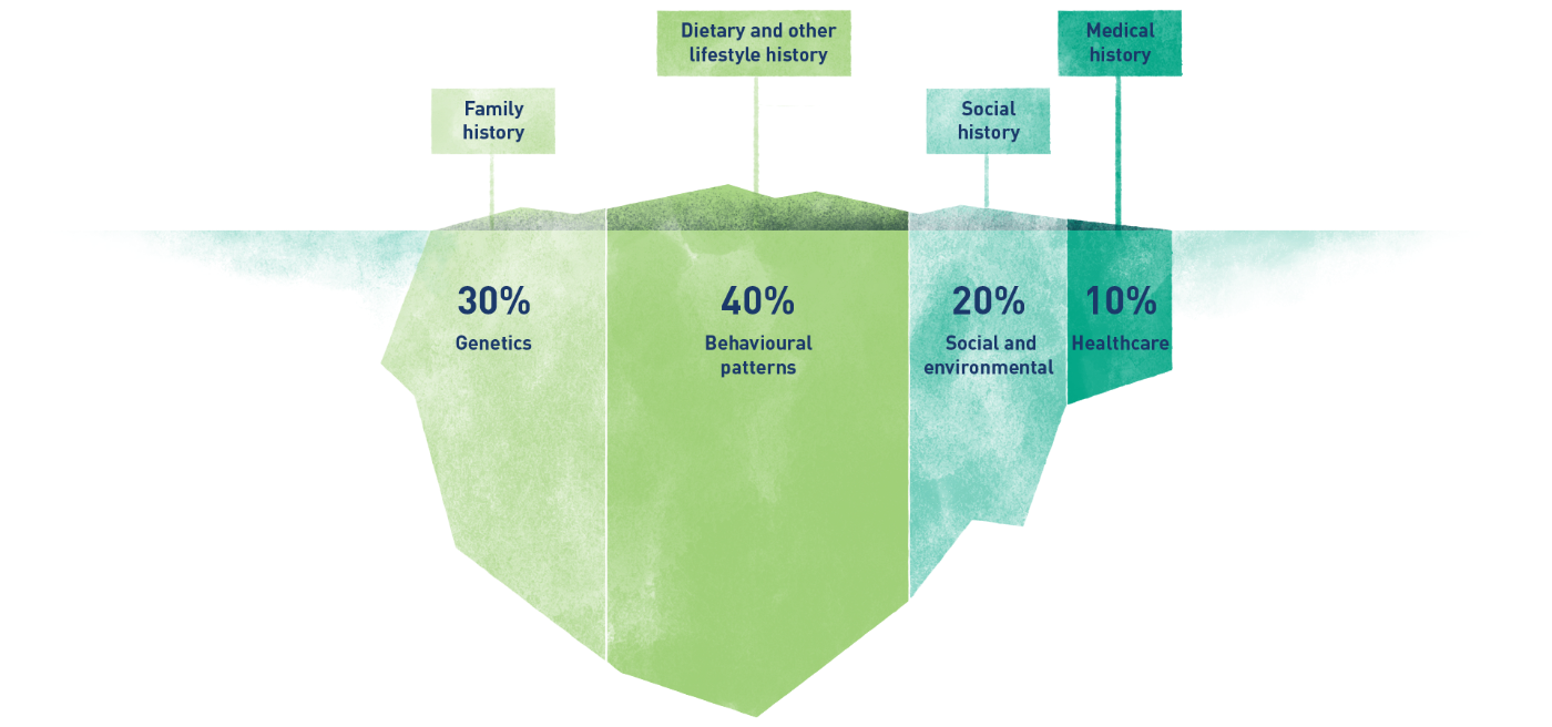 Iceberg with percentages: Genetics (30%), Behavioural patterns (40%), Social and environmental (20%), Healthcare (10%).