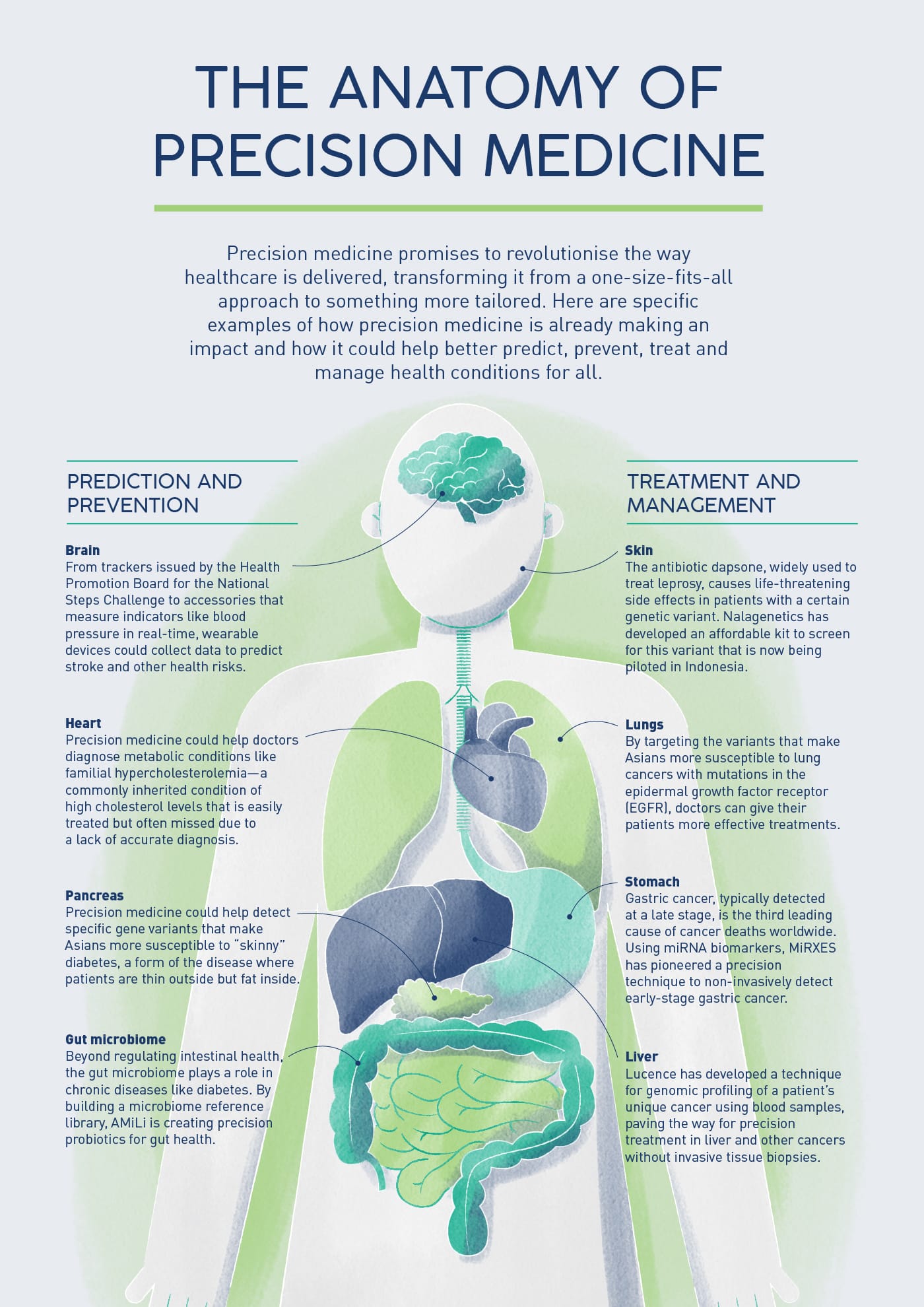 Illustration of human anatomy showing organs with text explaining precision medicine for prediction, prevention, and treatment.
