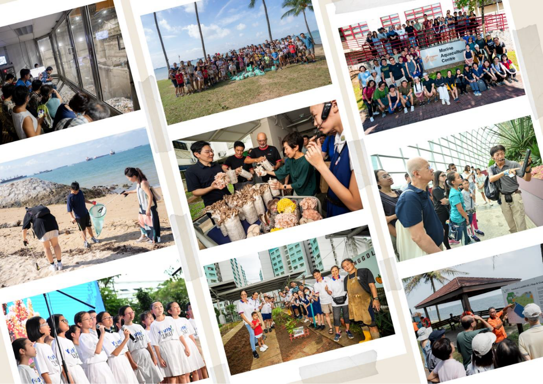 Green Citizenry Go Green SG