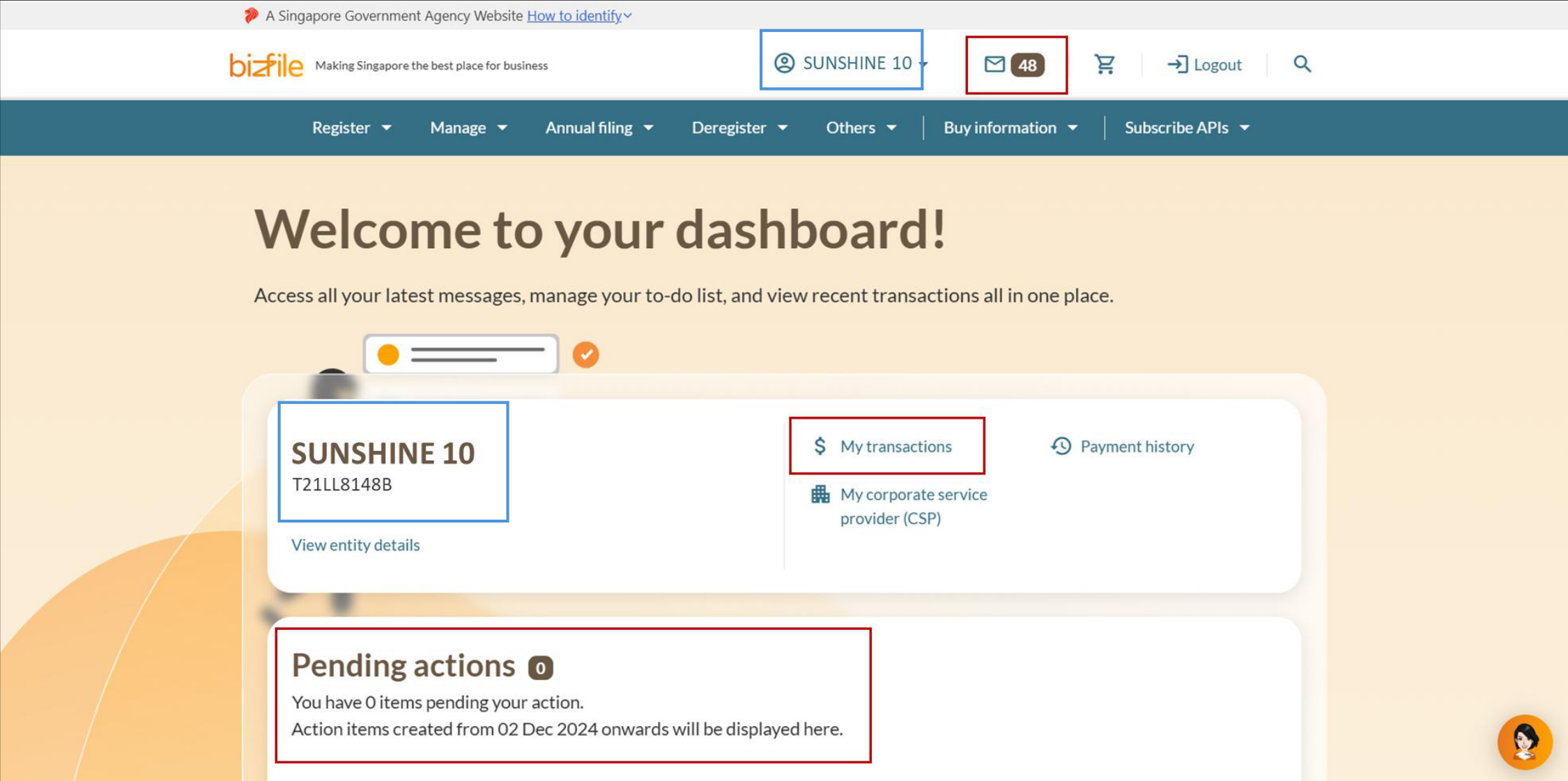 Bizfile dashboard showing the newly selected entity in the top menu bar and welcome section