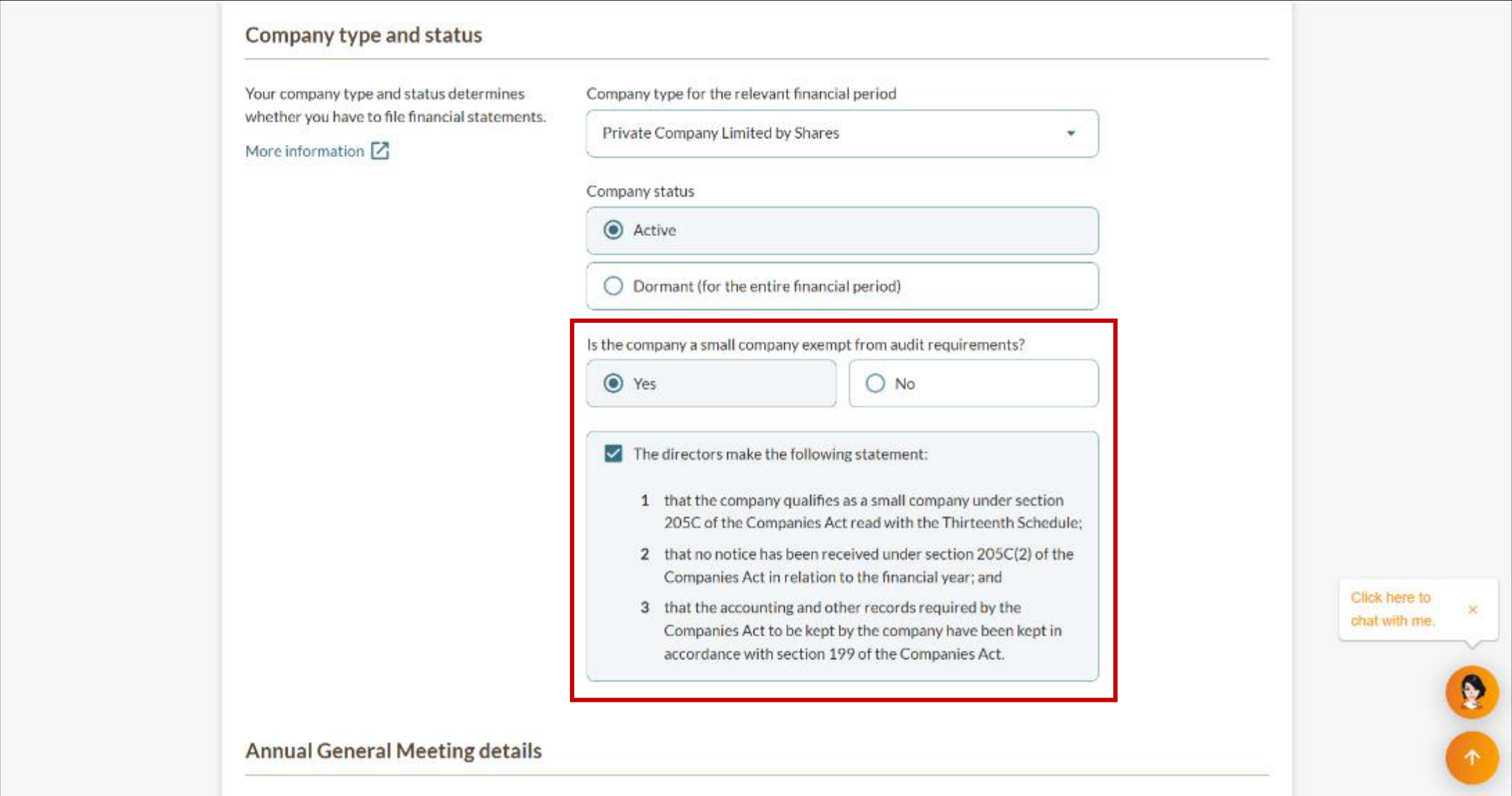 Audit exemption declaration checkbox for active Private Company