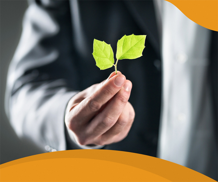 Person holding a green leaf, symbolising sustainability and responsible business practices.