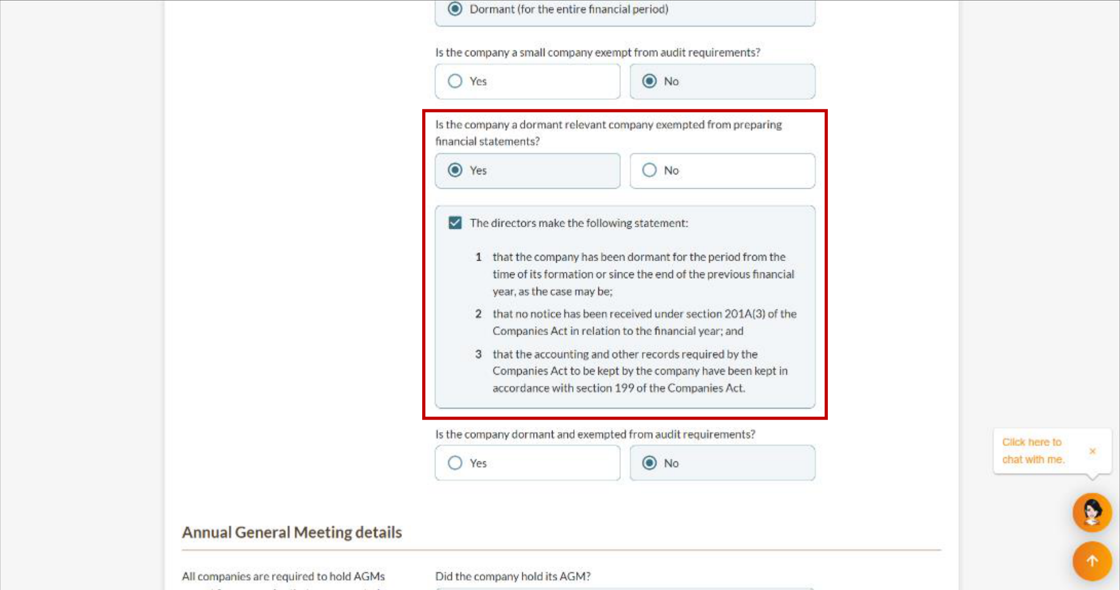 Declaration checkboxes for a dormant relevant company exempt from preparing financial statements