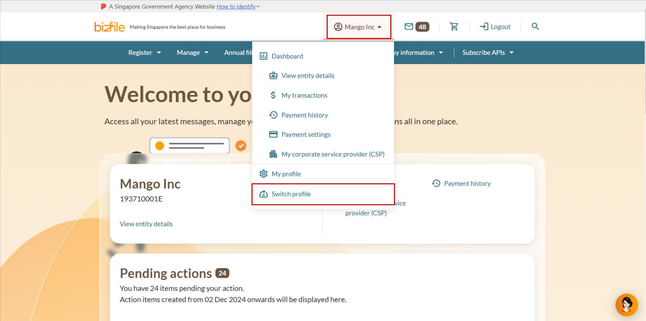 Dropdown menu from entity name showing options including Switch profile highlighted