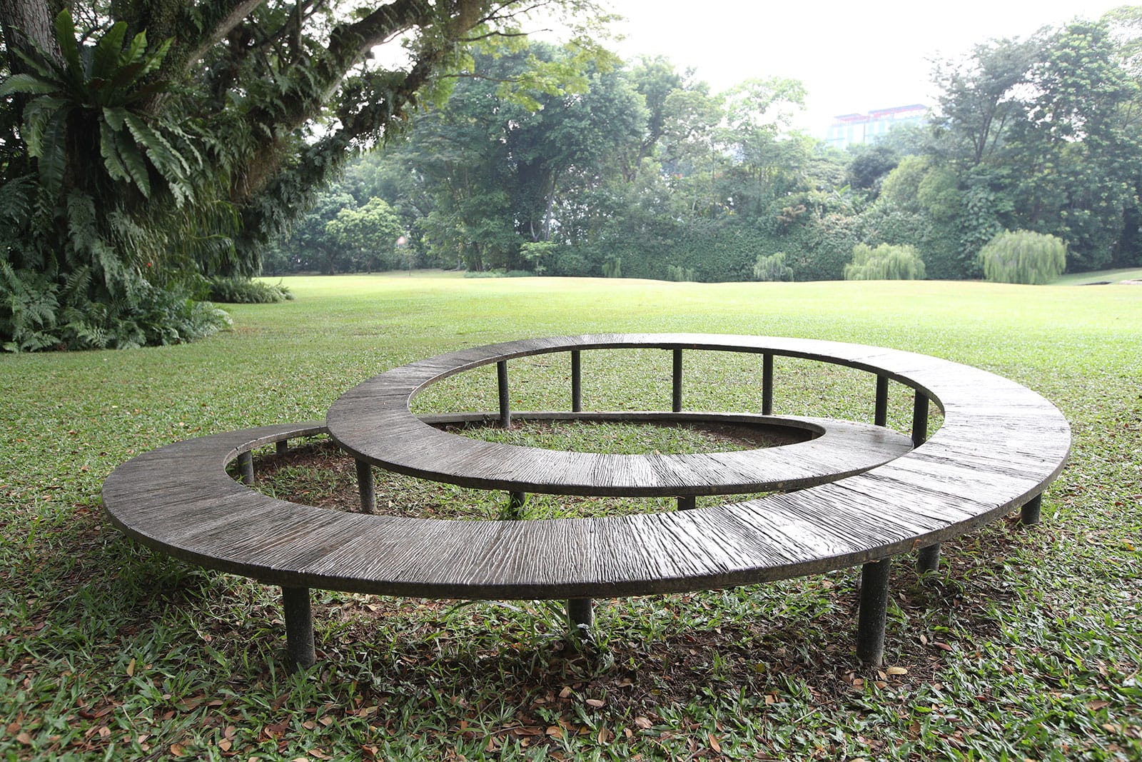 Circular wooden bench in a park with a grassy field and trees in the background.