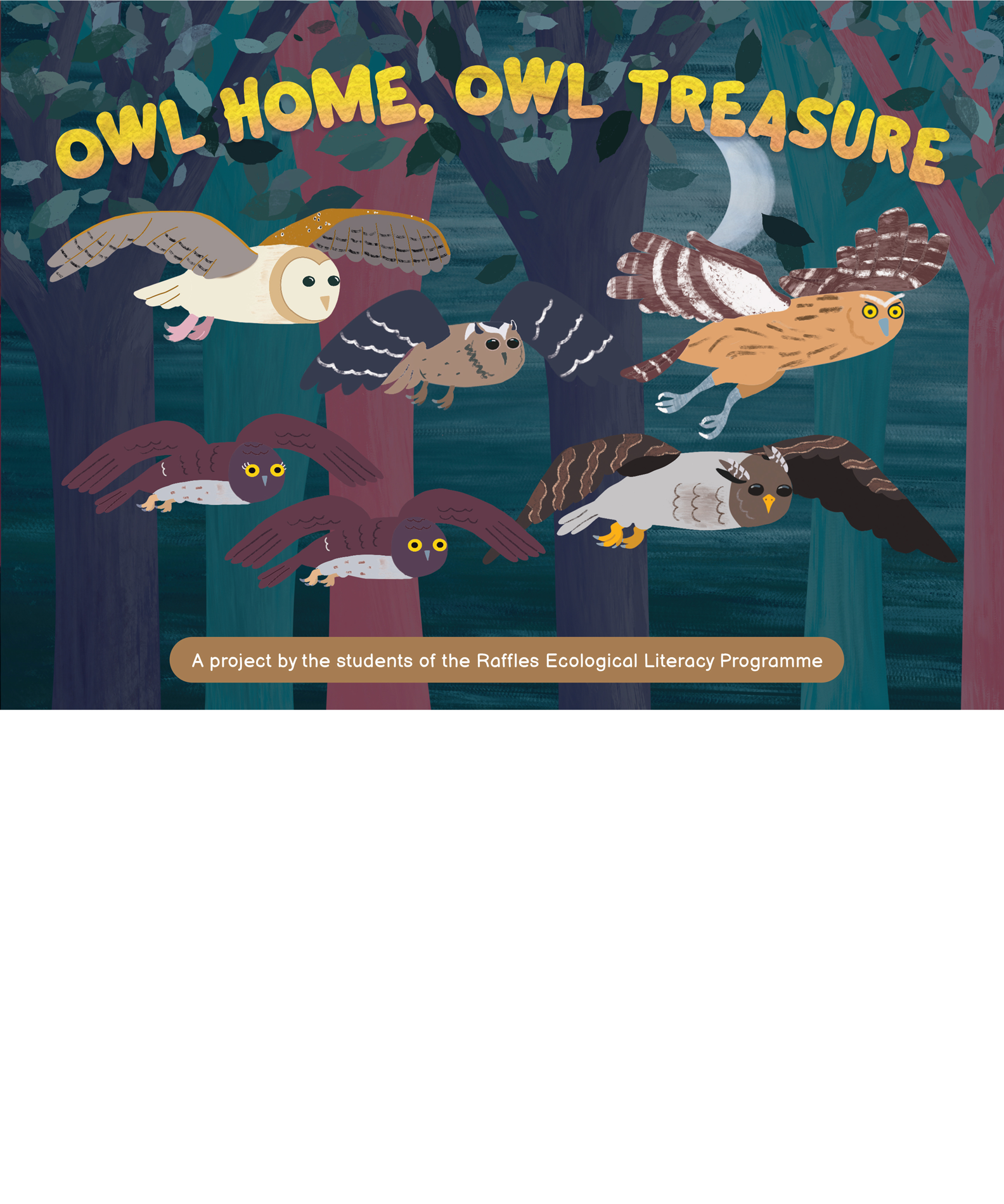 Owl Home Owl Treasure Book Cover