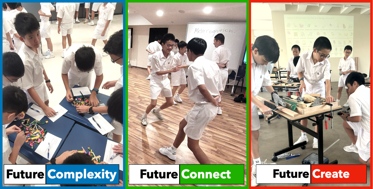 FutureLearning Programme | Raffles Institution