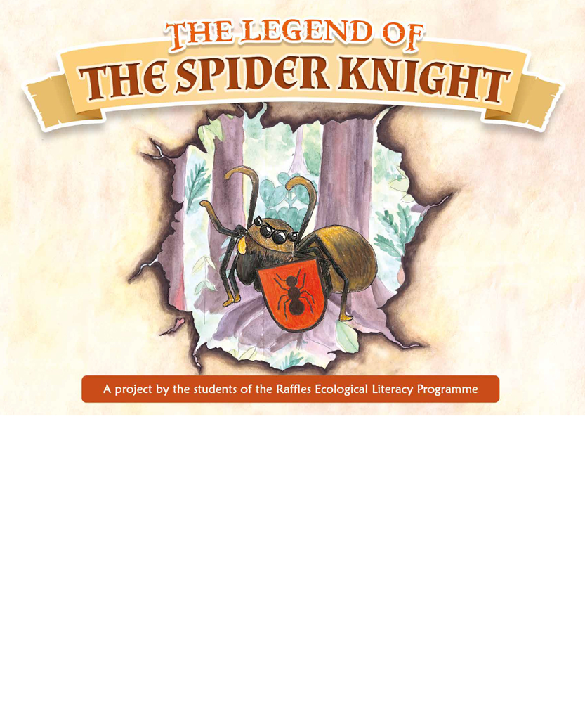 The Legend of the Spider Knight book cover