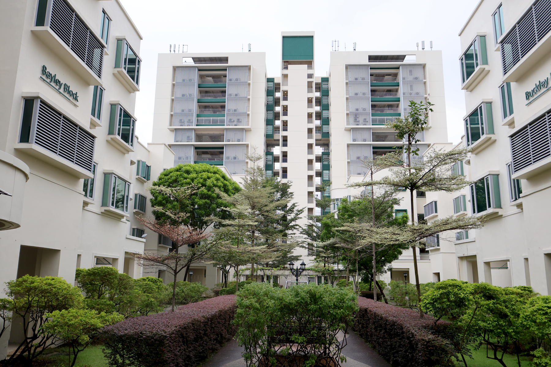 Courtyard of Bayley Block and Buckley residential buildings with trees, shrubs, and a central pathway.