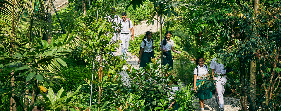 Four students in school uniforms walk along a gravel path surrounded by dense green tropical plants.