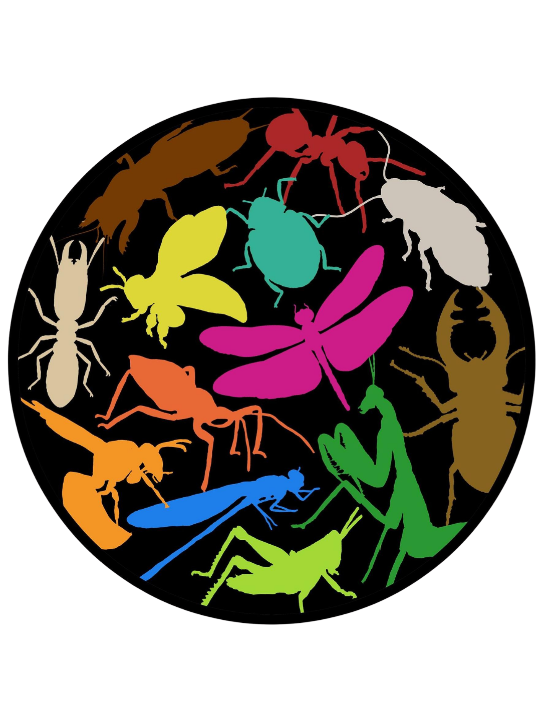 Festival booths | BiodiversitySG