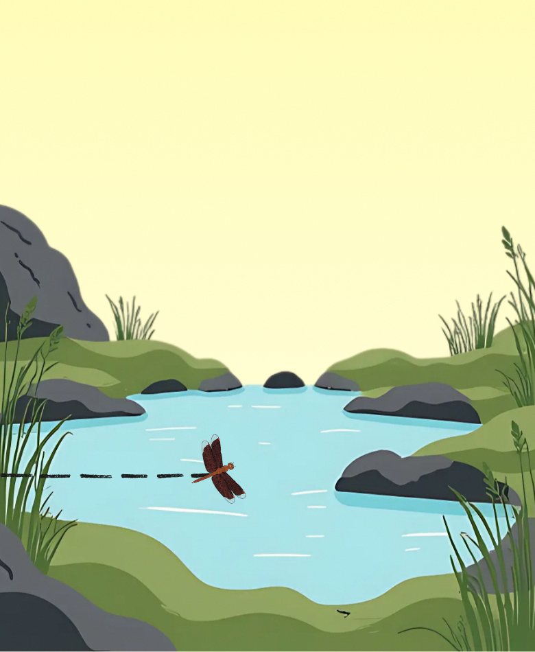 Skimmers are agile fliers that zip quickly across the surface of water, darting low and often pausing briefly to rest on floating leaves or reeds.