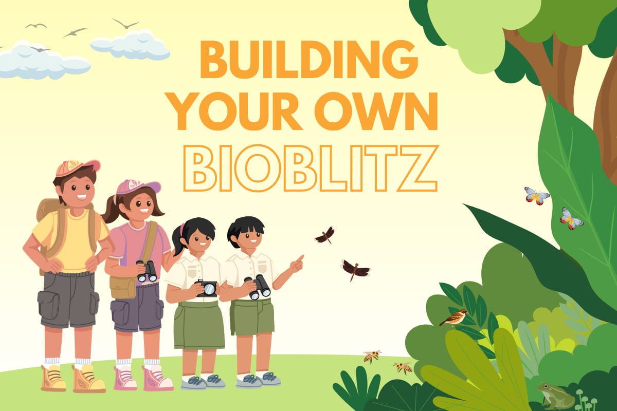 What is a BioBlitz | BiodiversitySG