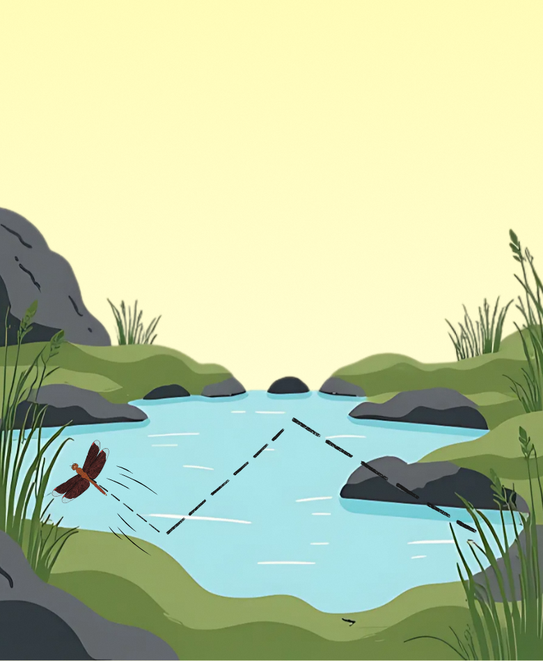 Darters are known for their rapid, darting movements, making sharp turns and sudden stops as they chase prey or avoid predators, displaying remarkable aerial agility.