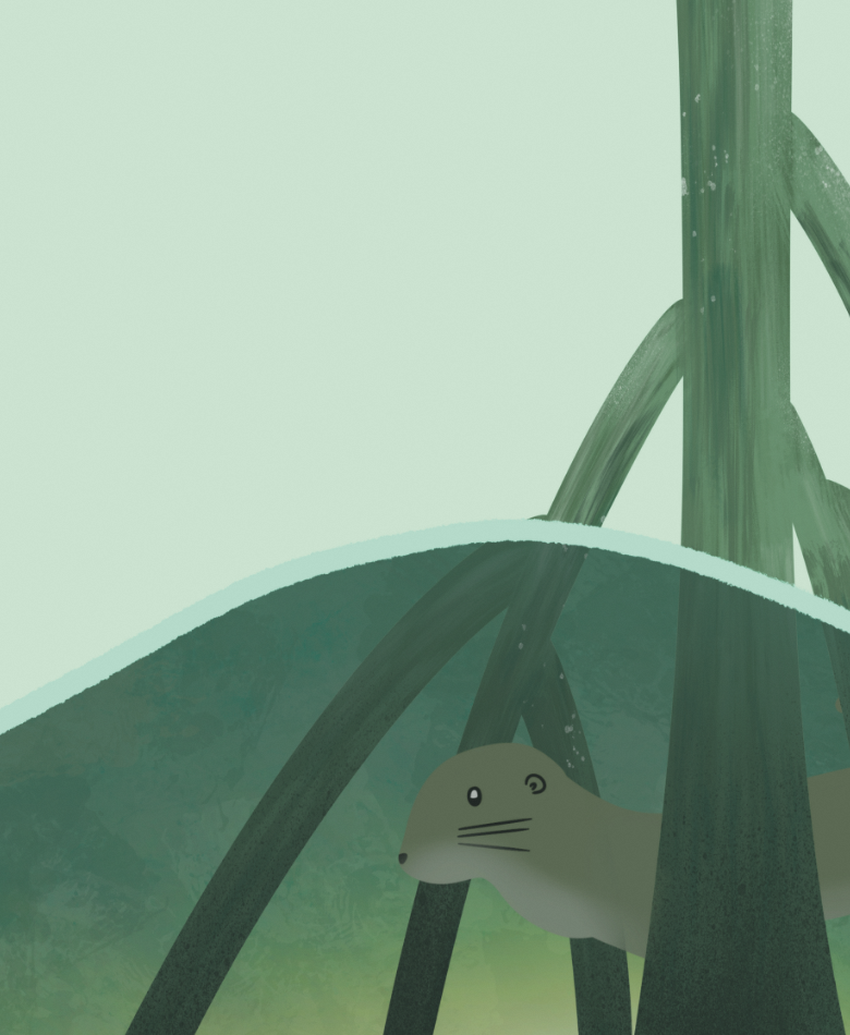 Stilt roots