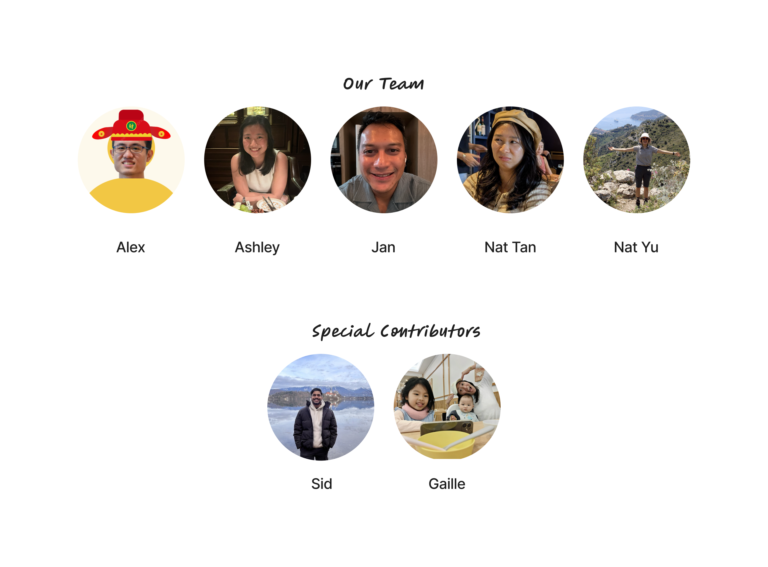 Add your alt text here