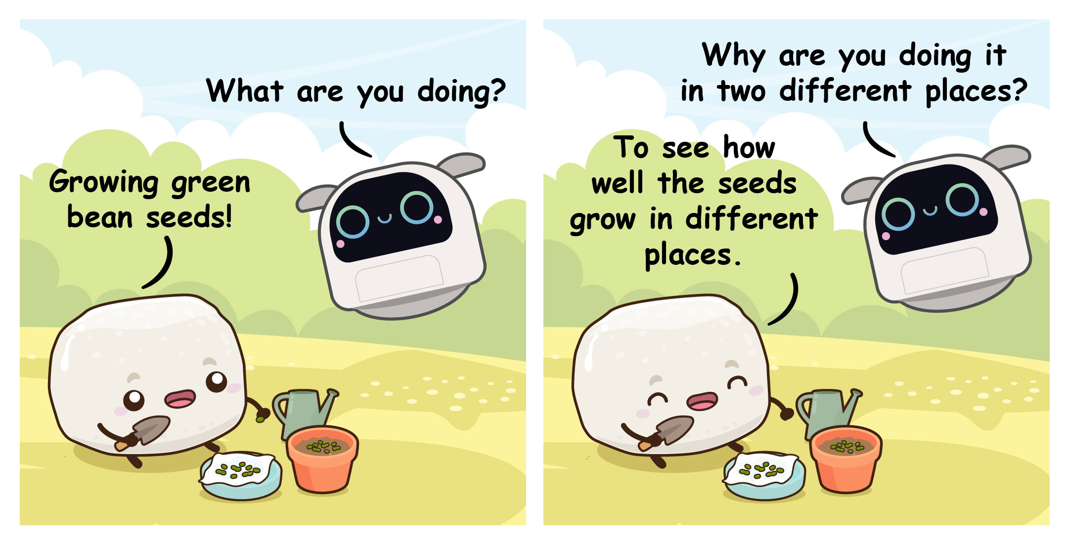 Two-panel comic where Bouncy explains to Poodle why they are planting green bean seeds in two different places.