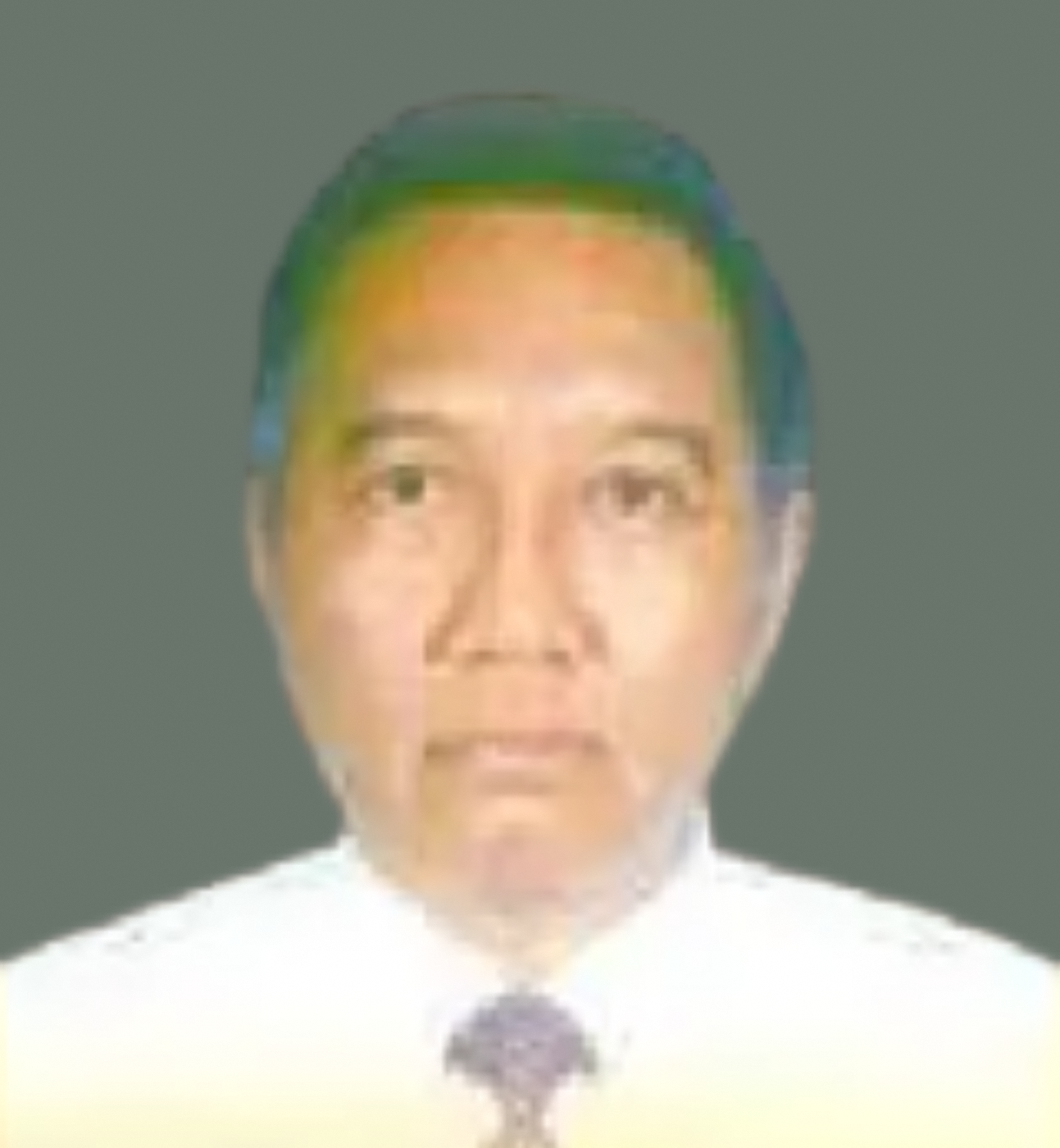 Picture of Mr Sentanoe Kertonegoro