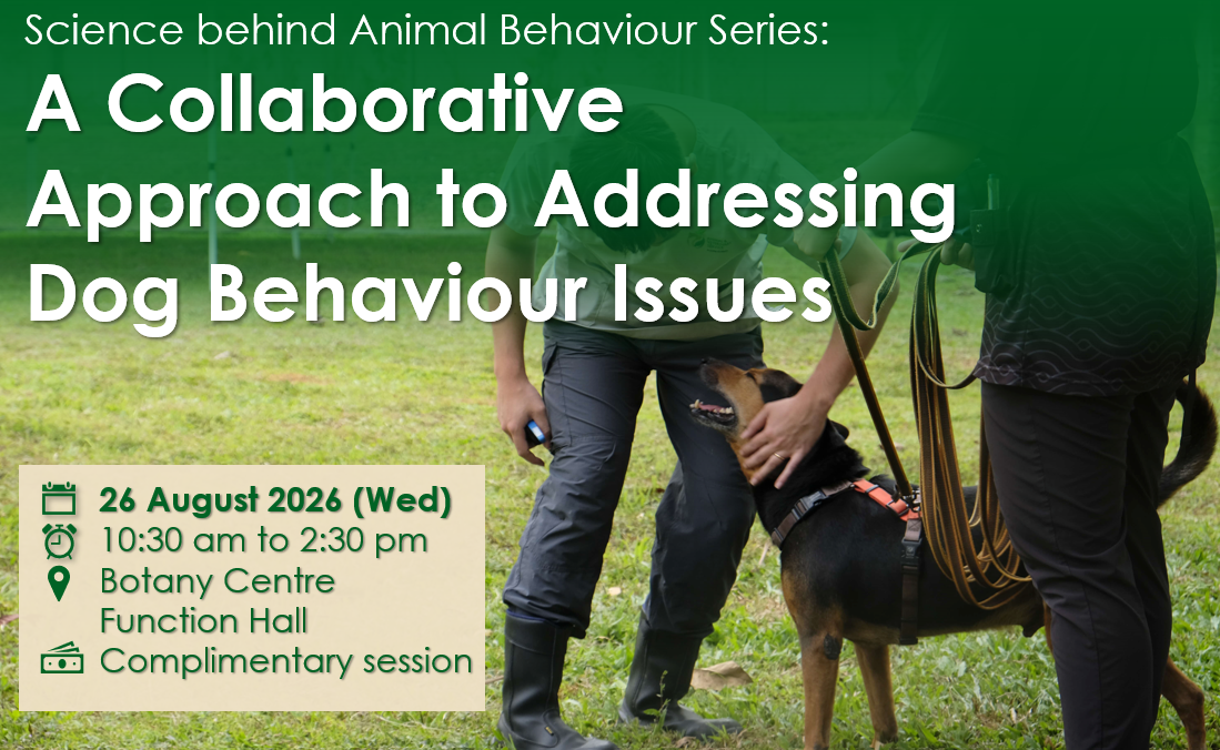Details of an upcoming AVS seminar on 26 August 2026 titled 'A Collaborative Approach to Addressing Dog Behaviour Issues' by speaker Dr Emmanuelle Titeux.