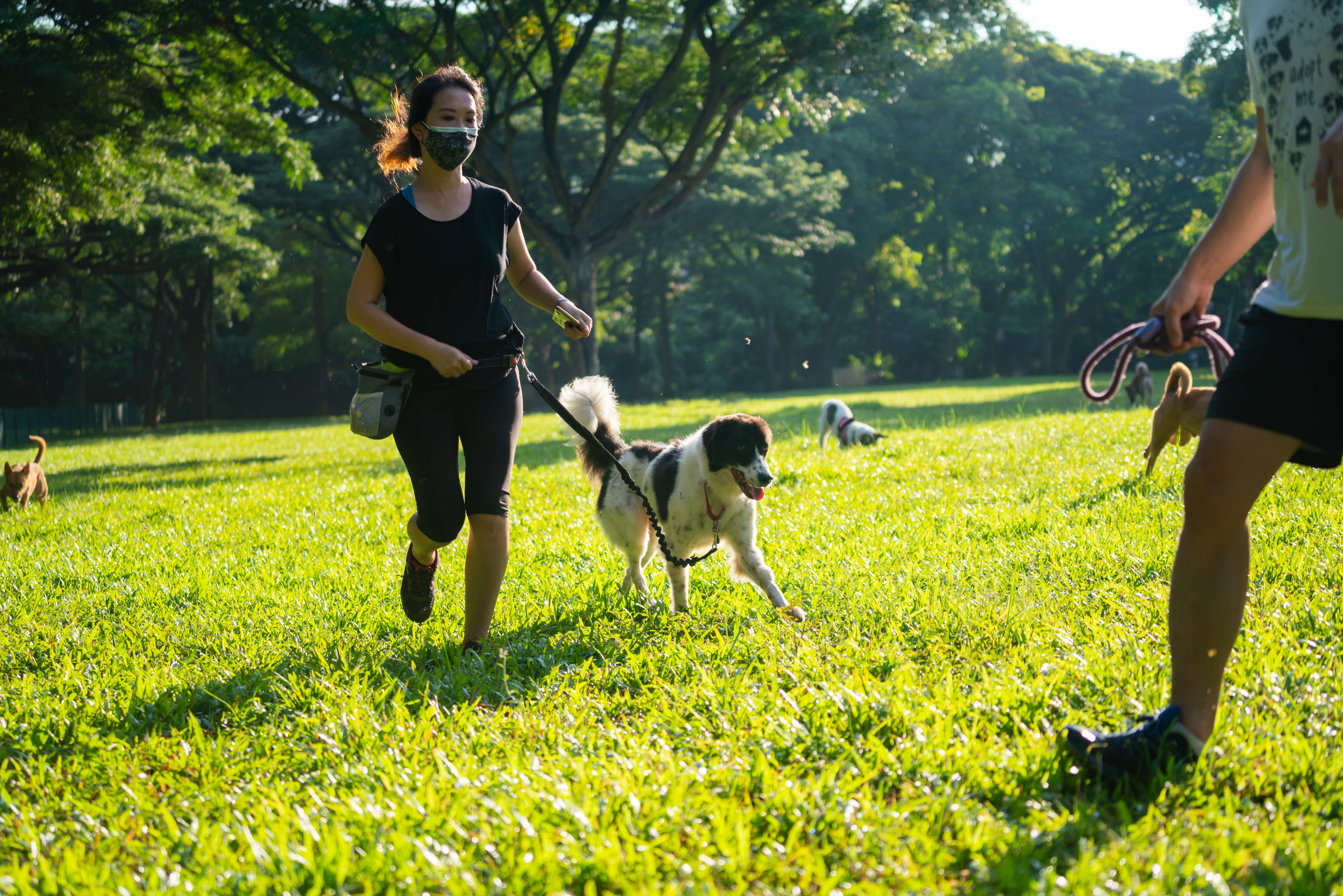 A photograph of a woman with a face mask running behind a dog