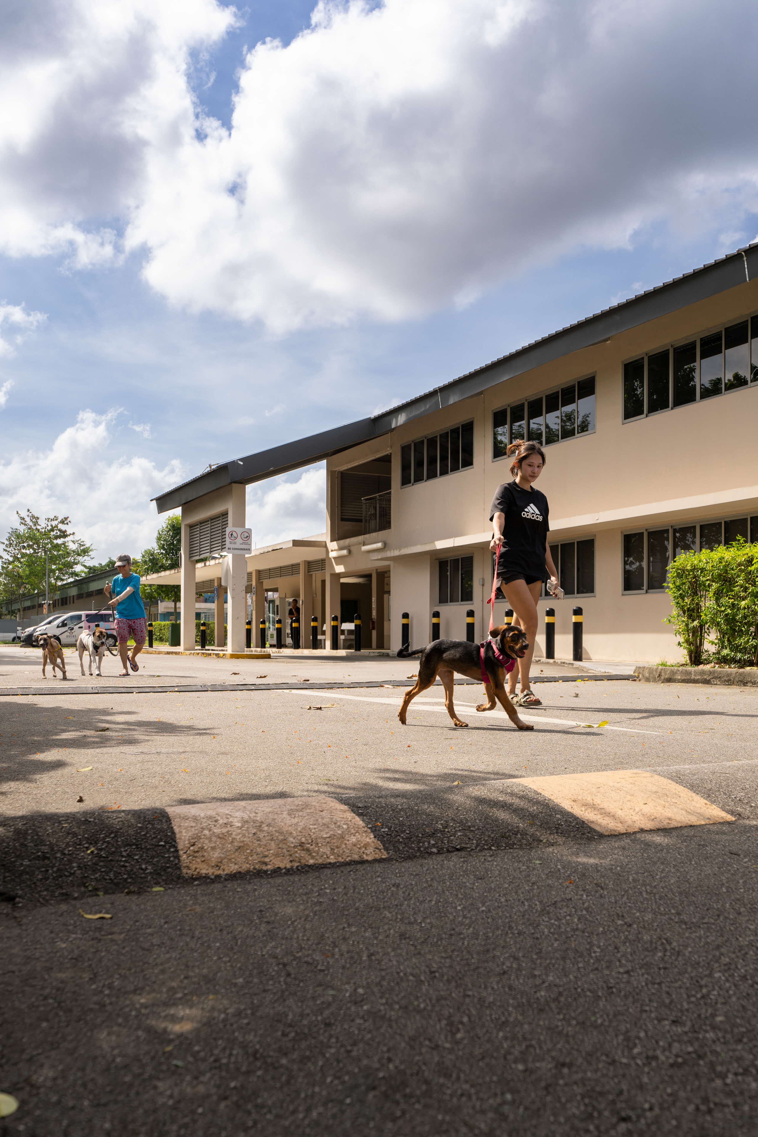 A photograph of a person walking a dog by the Animal Lodge