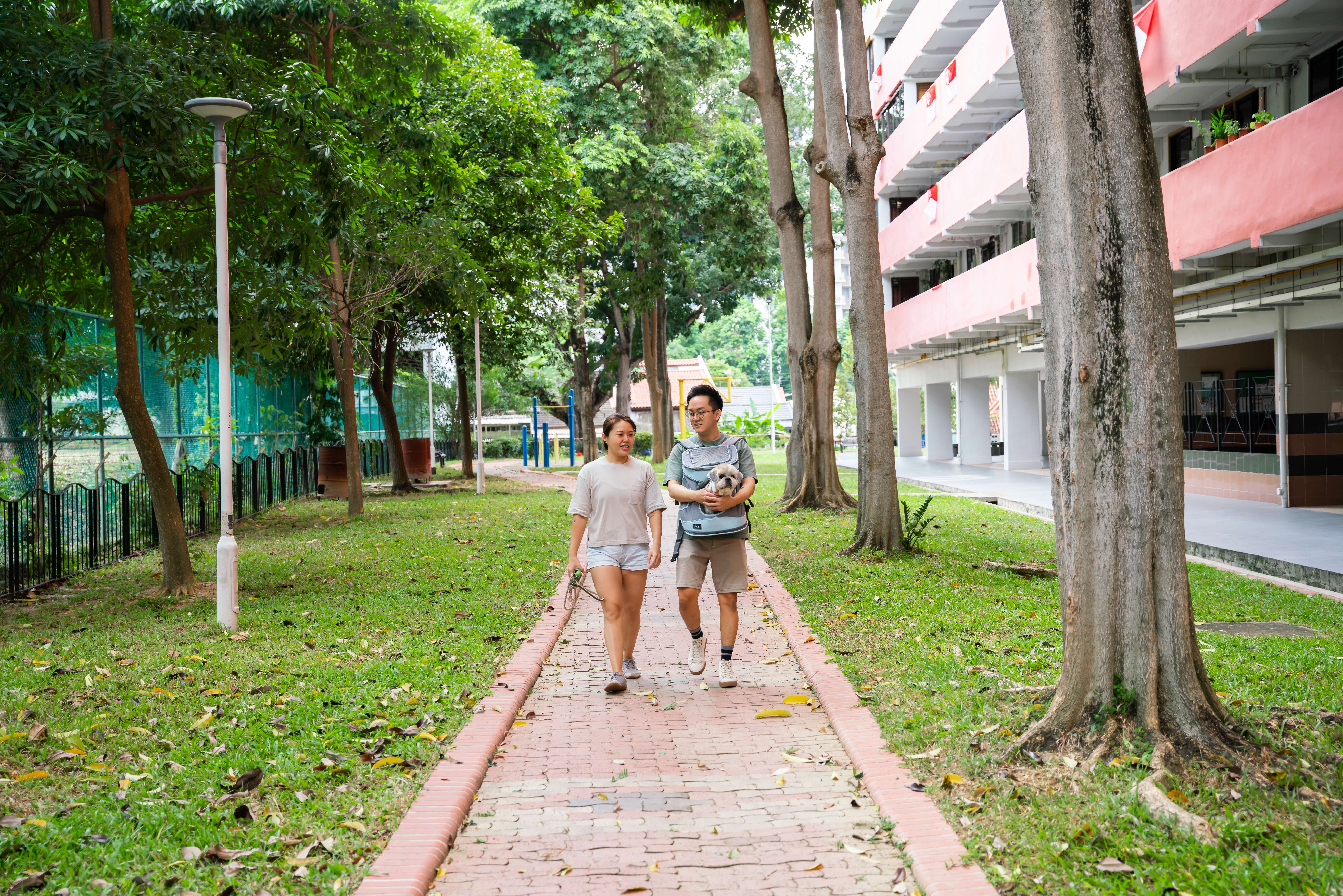 A photograph of a couple with a small dog in a backpack walking by a HDB block