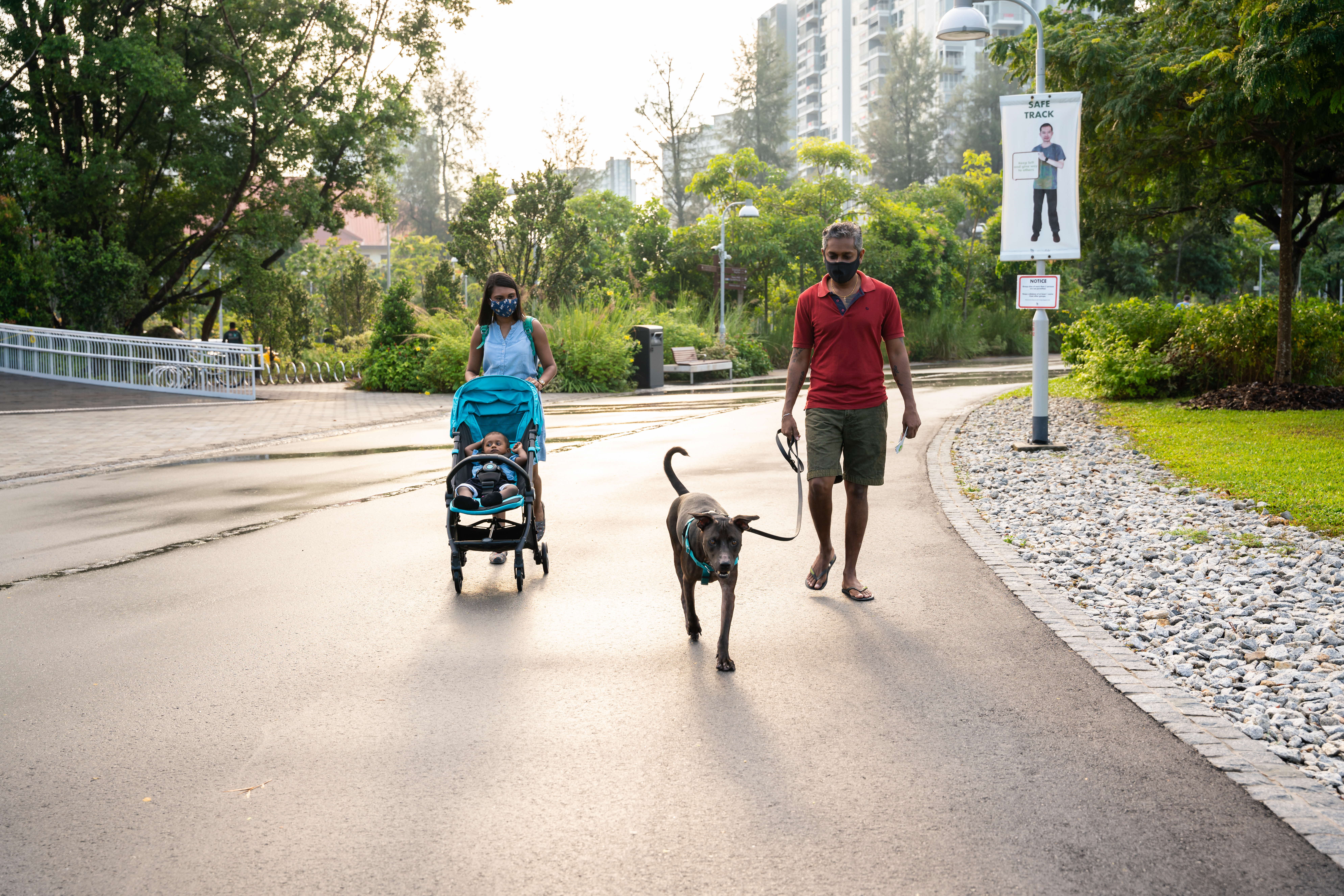 A photograph of a dog being walked by a family of 3