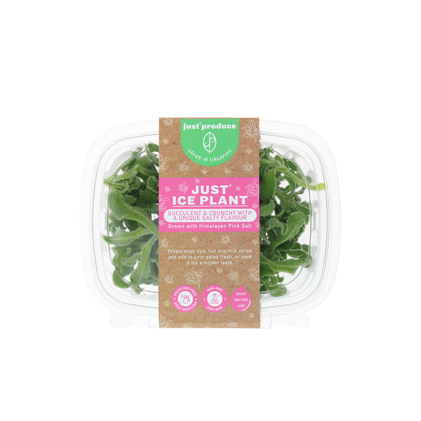 Just Ice Plant (by Just Produce)