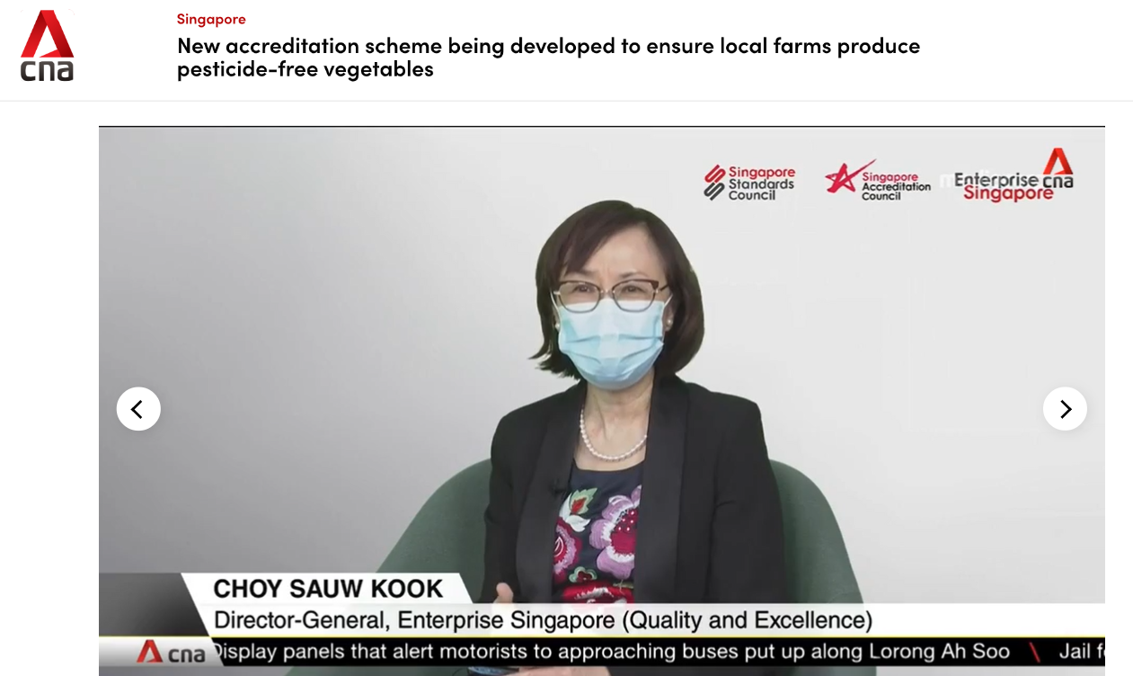 CNA news screenshot showing Choy Sauw Kook, Director-General of Enterprise Singapore, wearing a blue face mask.
