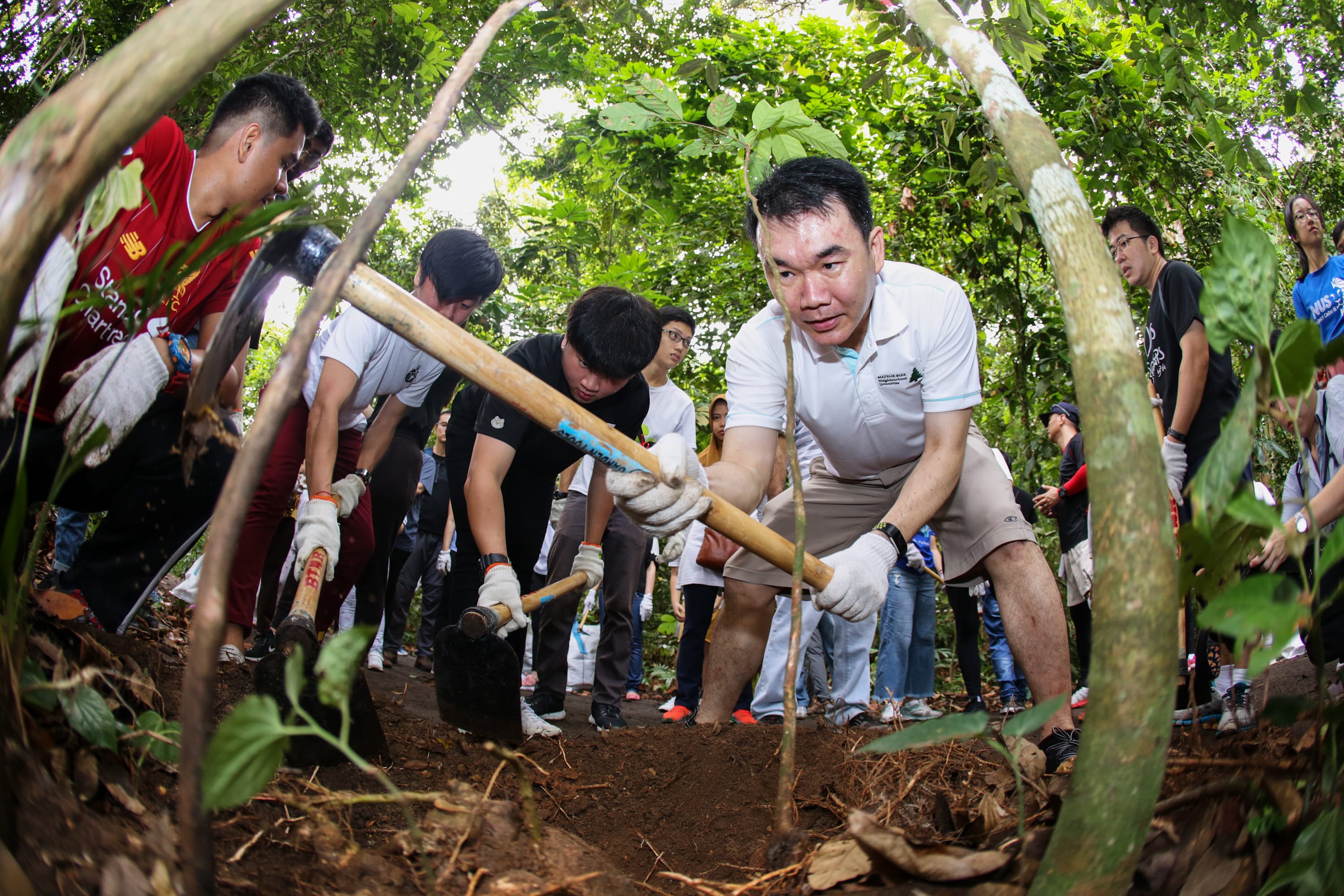 People with shovels and tools work together outdoors in a densely vegetated area.