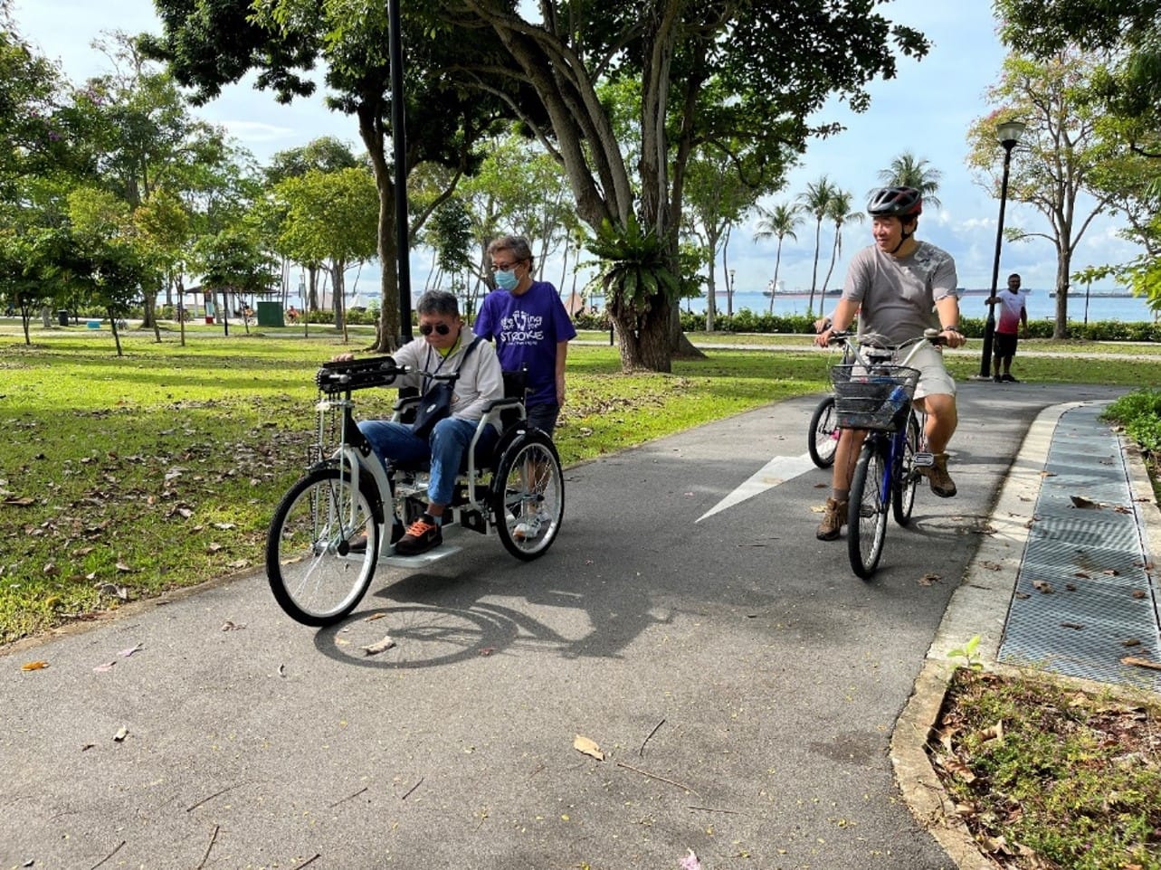 People cycling along a paved path in a park with trees and grass surrounding the area.