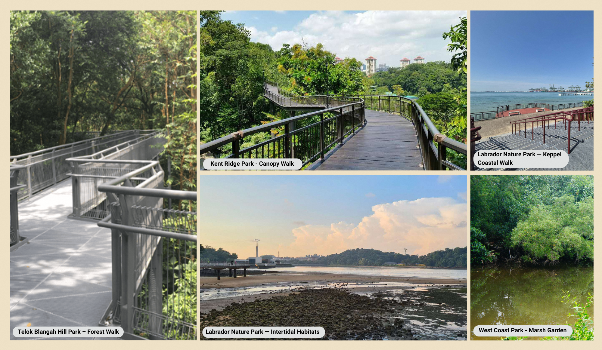 A collage showing various nature parks: forest walk, canopy walk, coastal walk, intertidal habitats, and marsh garden.