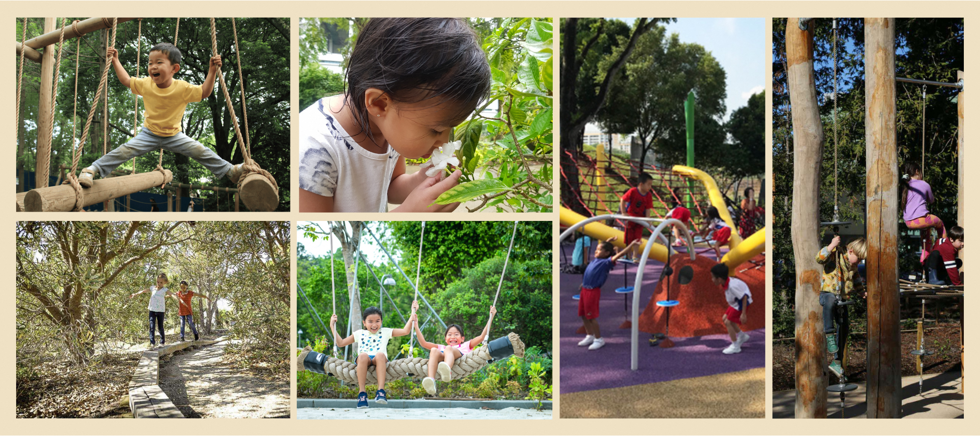 Children are engaged in various outdoor activities like rope climbing, examining plants, swinging, and playing on a playground.