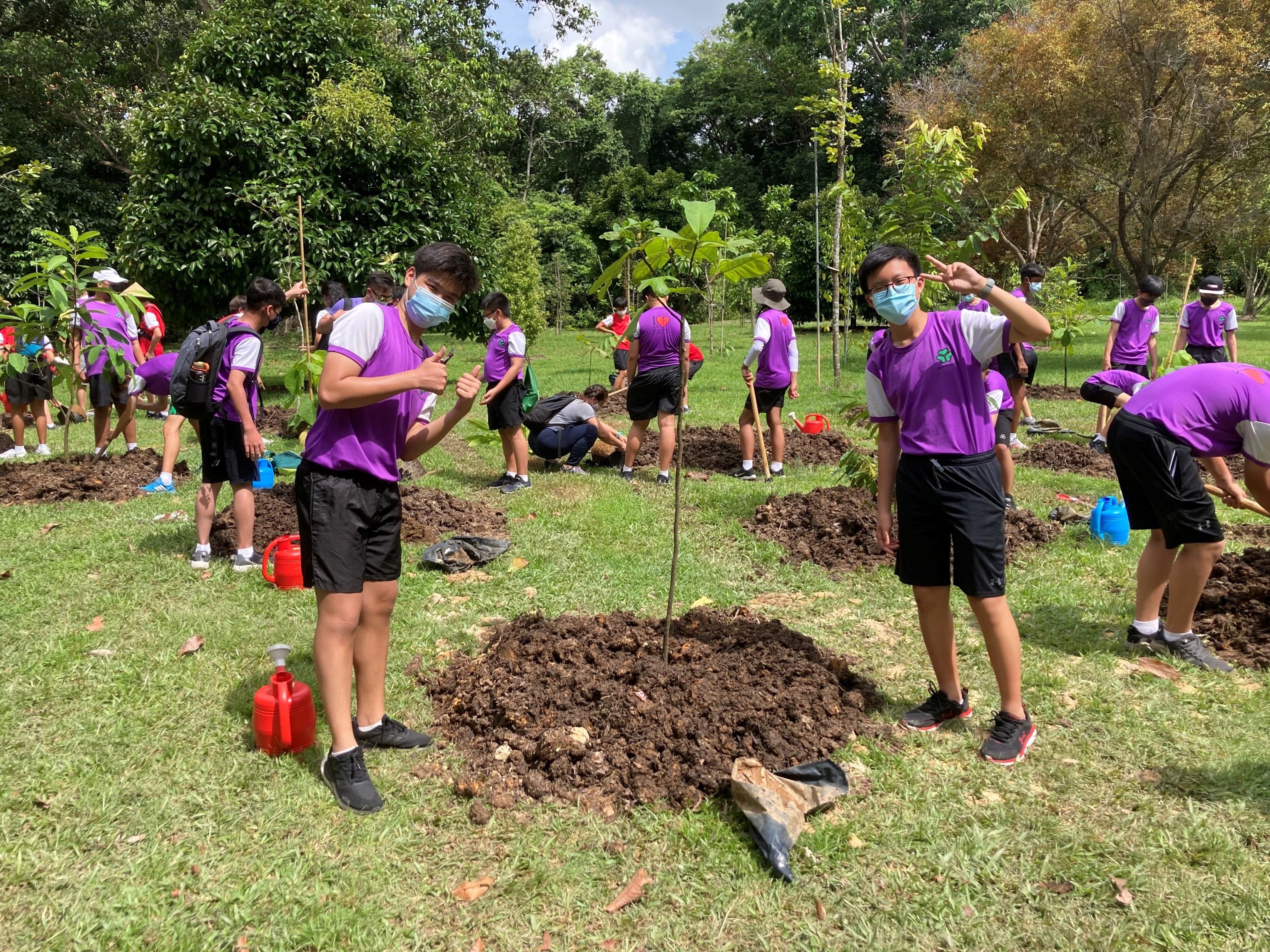 People in purple shirts are planting trees in a grassy area with scattered tools and red water containers.