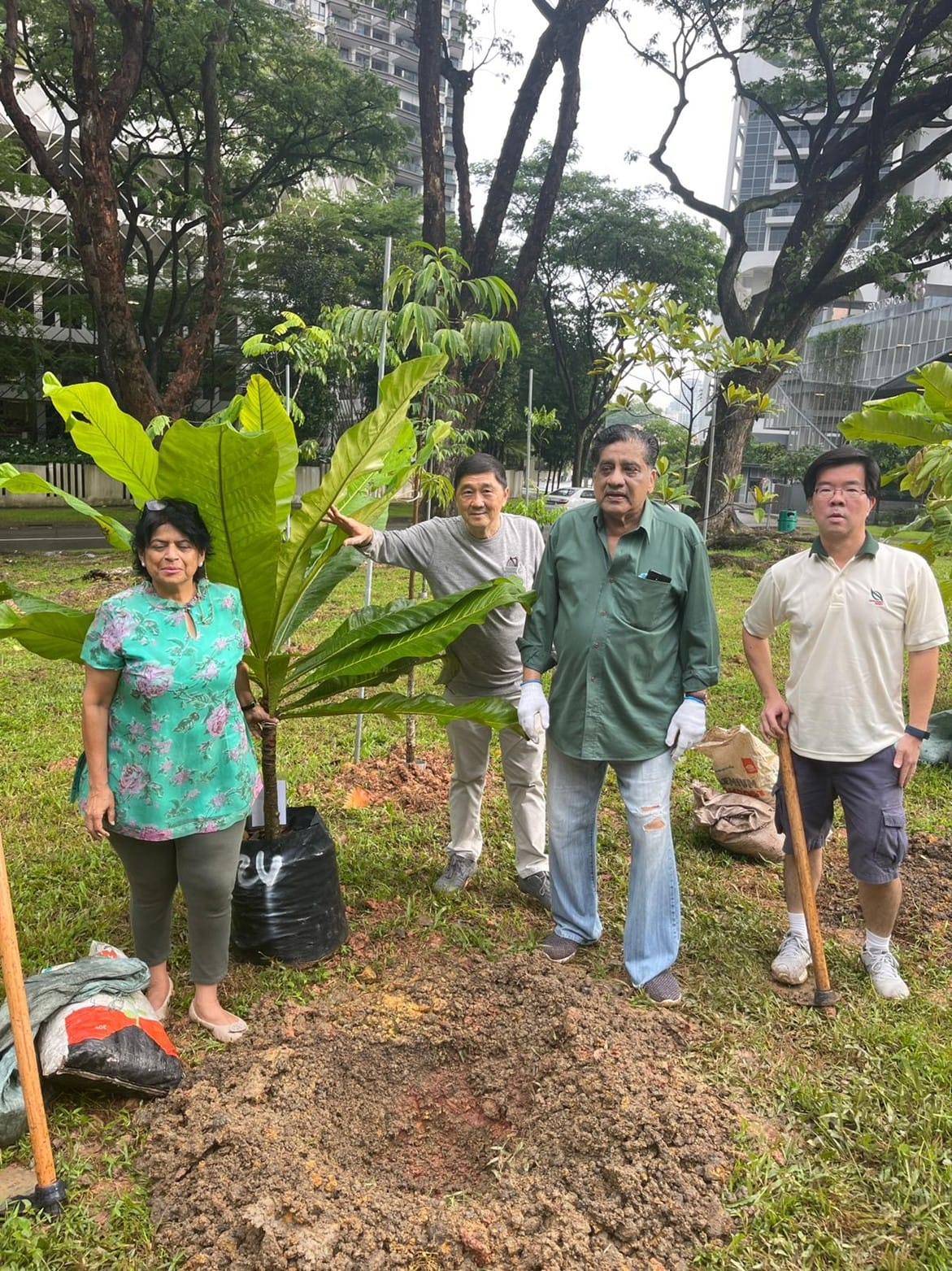 Four people stand around a planted tree in an urban park, holding gardening tools.