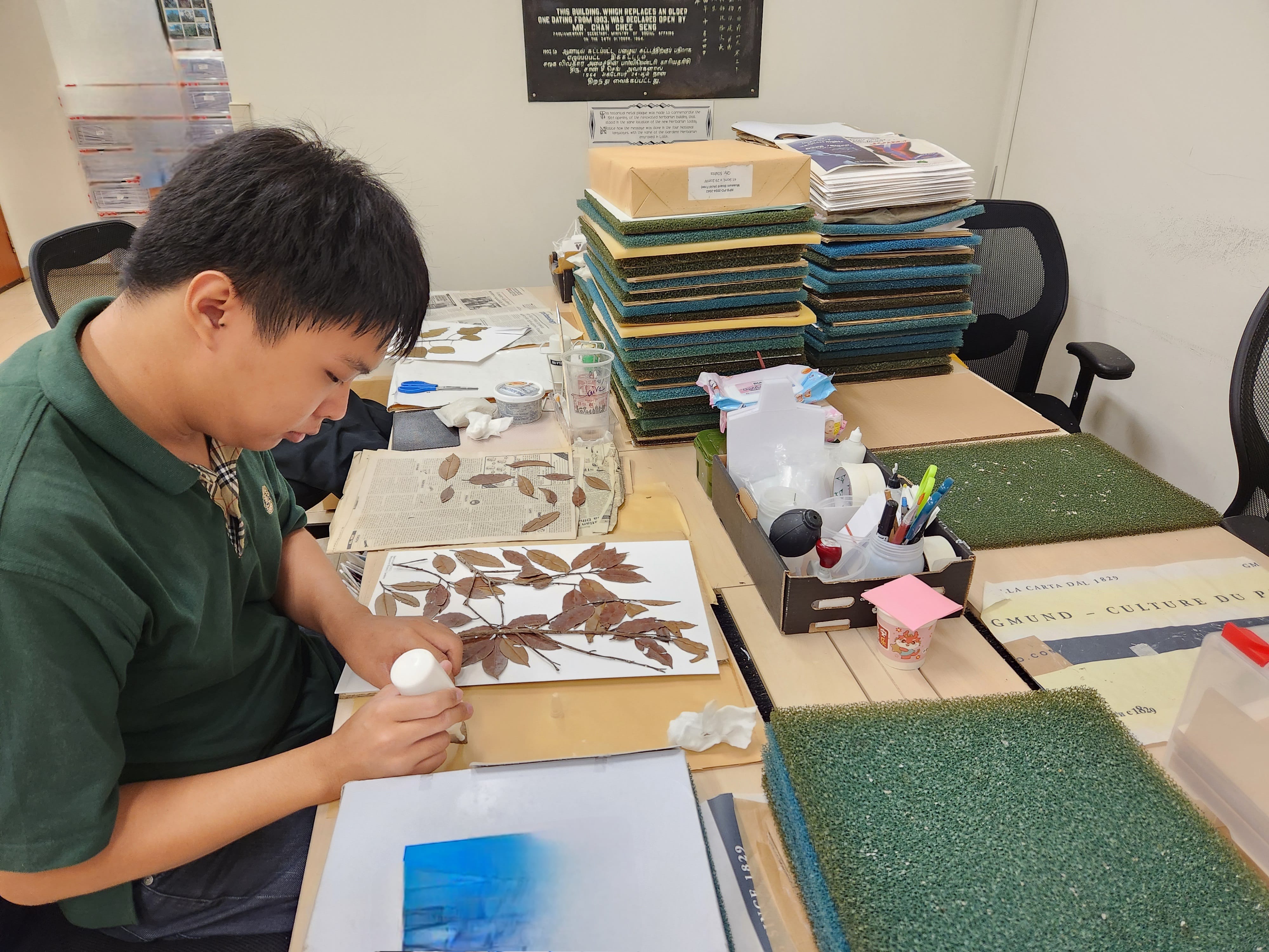Person working on a craft project with dried leaves on paper at a cluttered desk in an office setting.