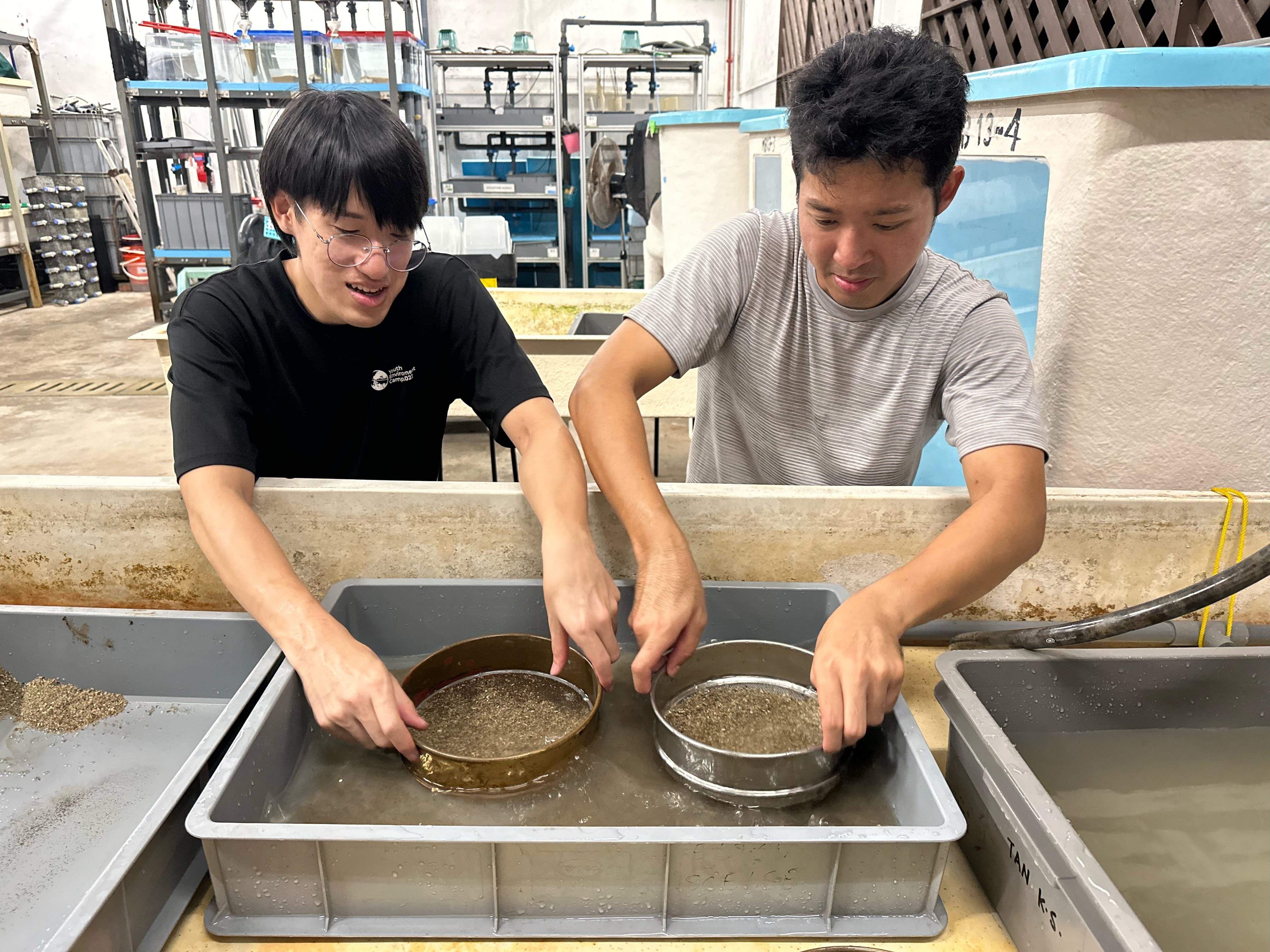 Two males sieving sediment over a tray in the aquarium
