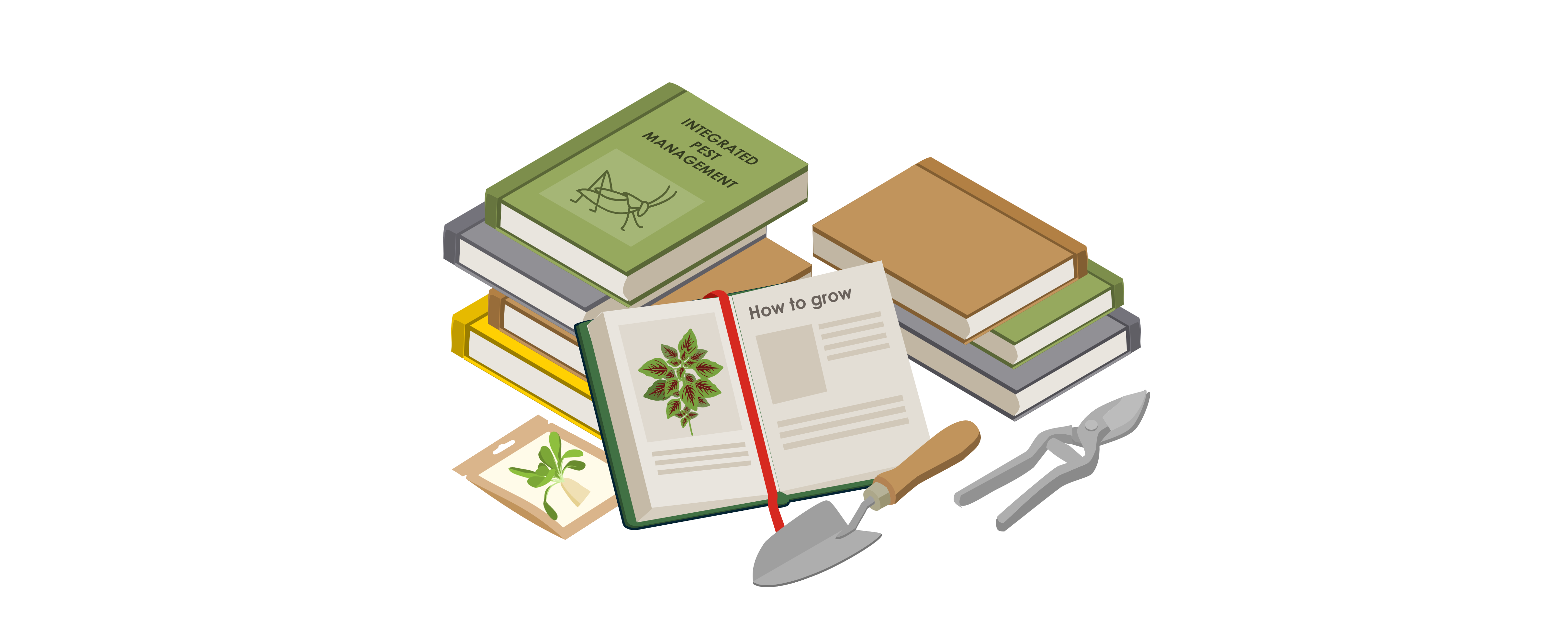 Isometric graphic of two stacks of books, with one book opened up to a page with a red bookmark with a graphic of a red bayam on the left and "How to grow" on the right. there are gardening tools and a seed packet around the books.