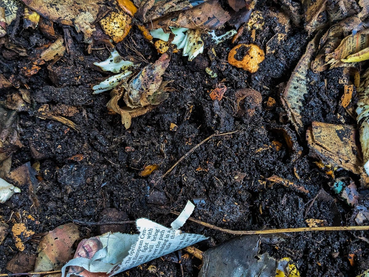 Clos up of a compost heap with mostly dark brown material and other large pieces of material such as paper, leaves and fruit peels. 